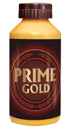 Show details for Prime Gold Picture of Prime Gold